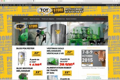 Création sites internet EMS : toy-store, en team avec rêne TOY (I Cintrat e-marketing)