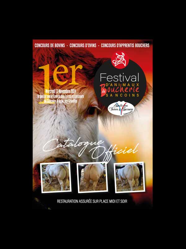 Éditions publicitaires plaquettes brochures flyers,Éditions publicitaires,Création graphique plaquettes brochures flyers,plaquettes brochures flyers