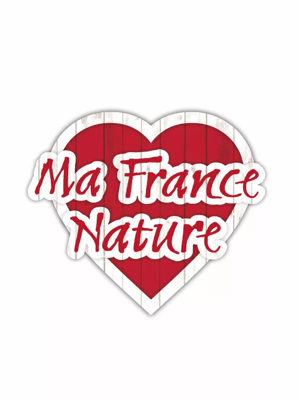 Création graphique logo identité visuelle,Conception création graphique,Création de marque identité visuelle logo,Création graphique logo identité d&#039;entreprise
