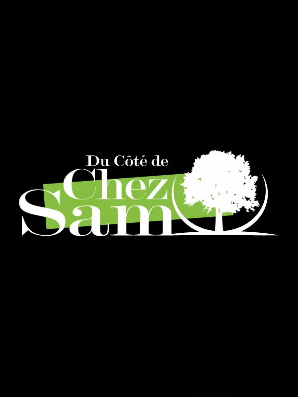 Communication &amp; marketing numérique print médias,Identité visuelle logo charte graphique,Communication internet &amp; réseaux sociaux,internet &amp; réseaux sociaux,Naming branding concepts,Portfolio