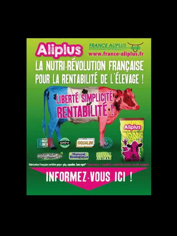 Communication &amp; marketing numérique print médias,Identité visuelle logo charte graphique,Communication internet &amp; réseaux sociaux,internet &amp; réseaux sociaux,Naming branding concepts,Portfolio
